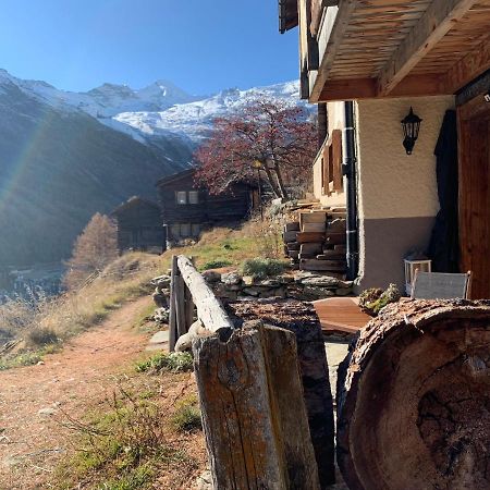 Chalet Birkhahn 萨斯费 外观 照片