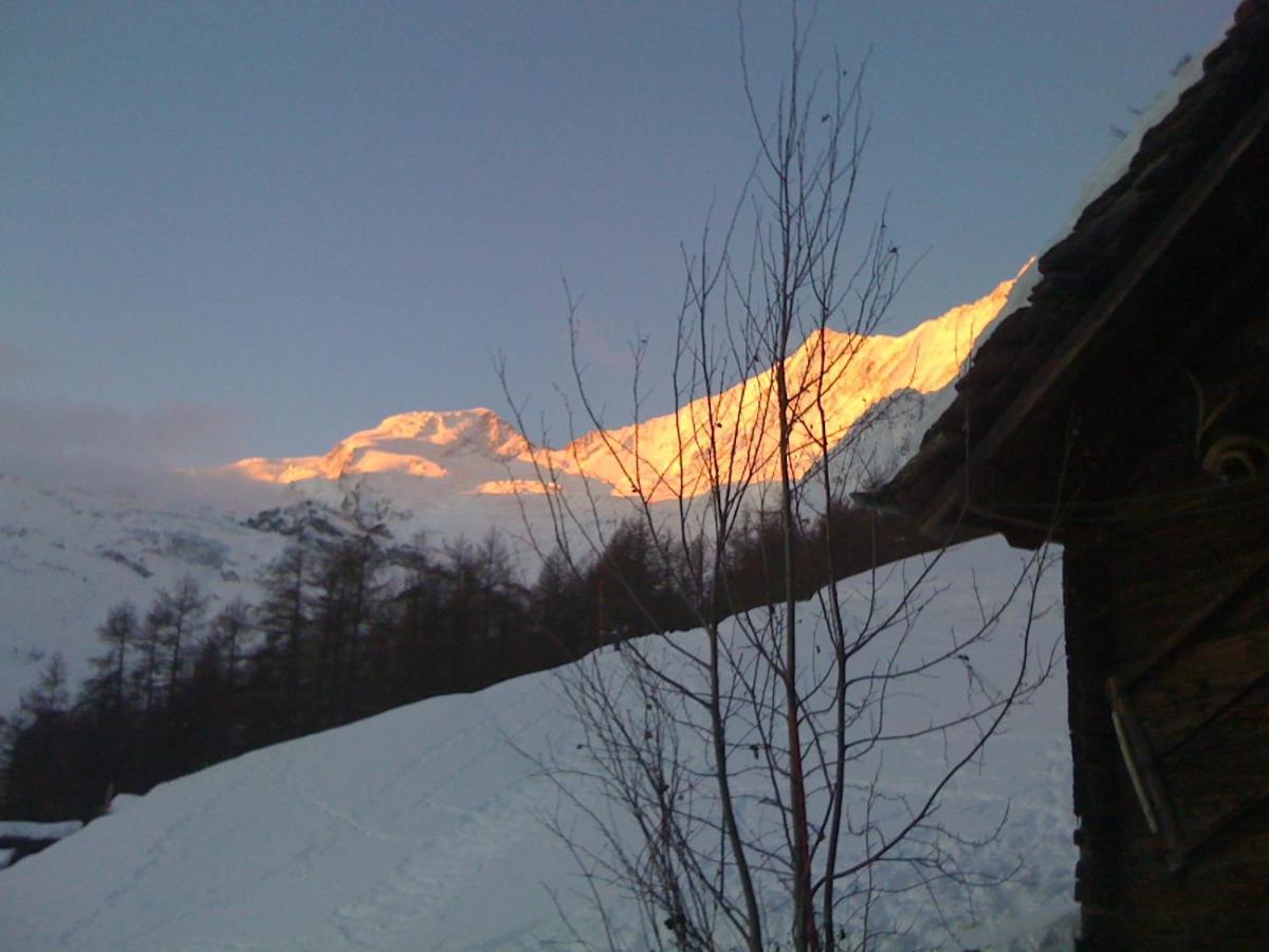 Chalet Birkhahn 萨斯费 外观 照片