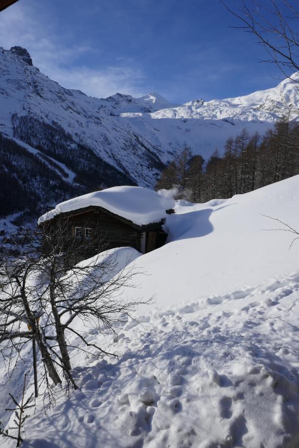 Chalet Birkhahn 萨斯费 外观 照片