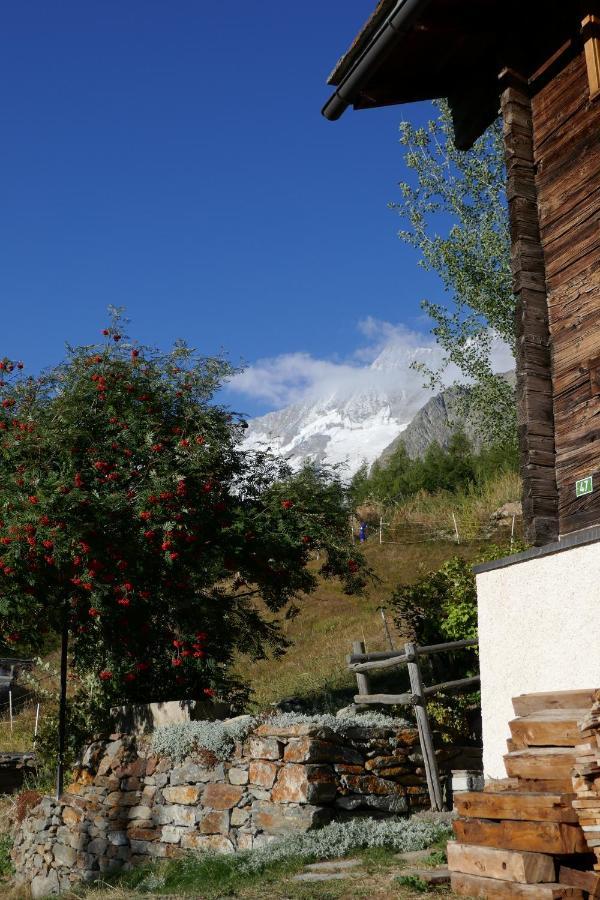 Chalet Birkhahn 萨斯费 外观 照片
