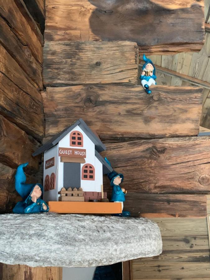 Chalet Birkhahn 萨斯费 外观 照片