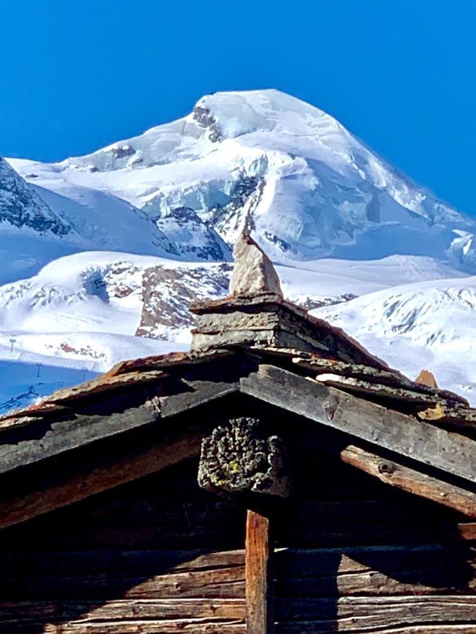 Chalet Birkhahn 萨斯费 外观 照片