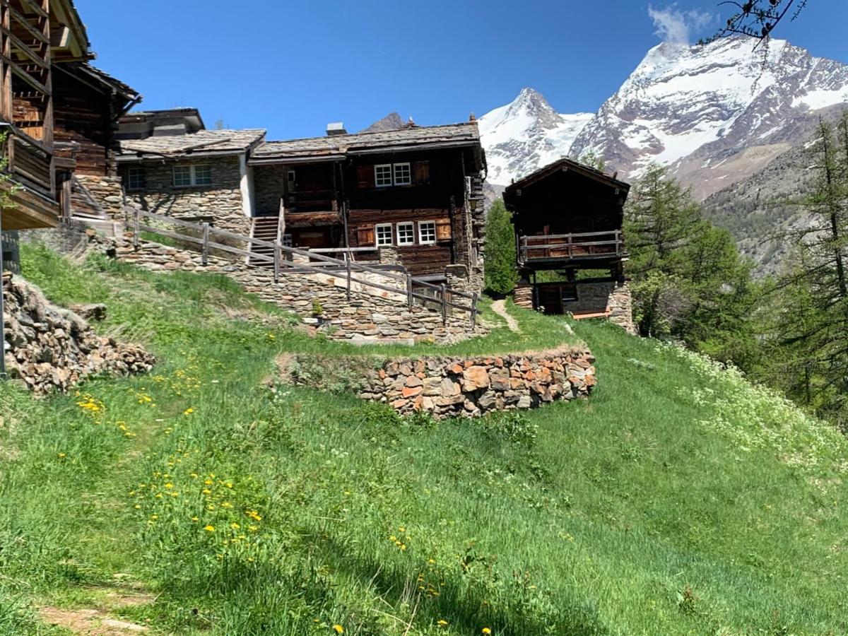Chalet Birkhahn 萨斯费 外观 照片