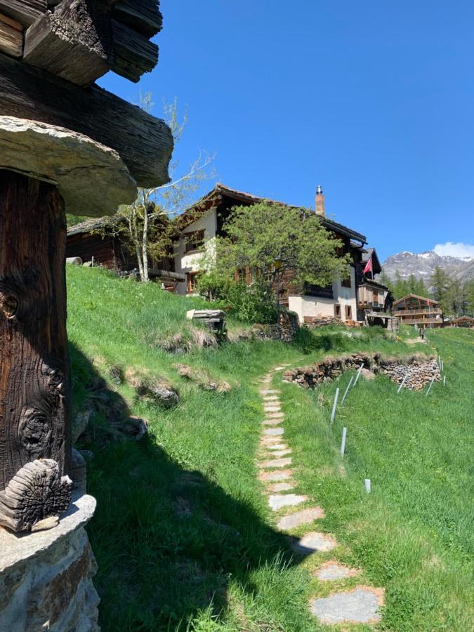 Chalet Birkhahn 萨斯费 外观 照片