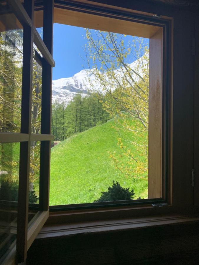 Chalet Birkhahn 萨斯费 外观 照片
