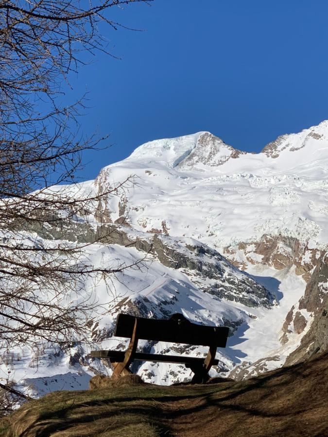 Chalet Birkhahn 萨斯费 外观 照片