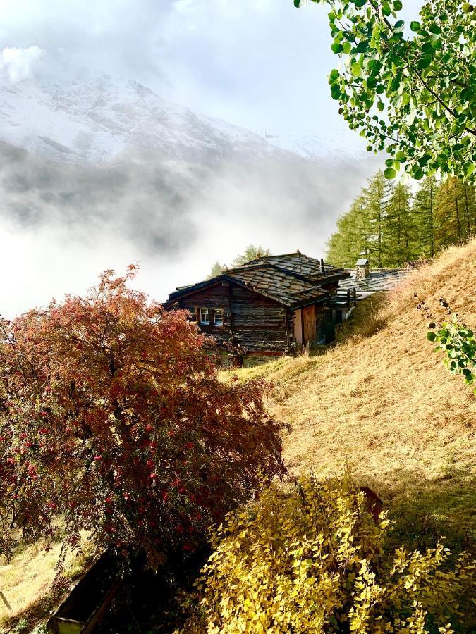 Chalet Birkhahn 萨斯费 外观 照片