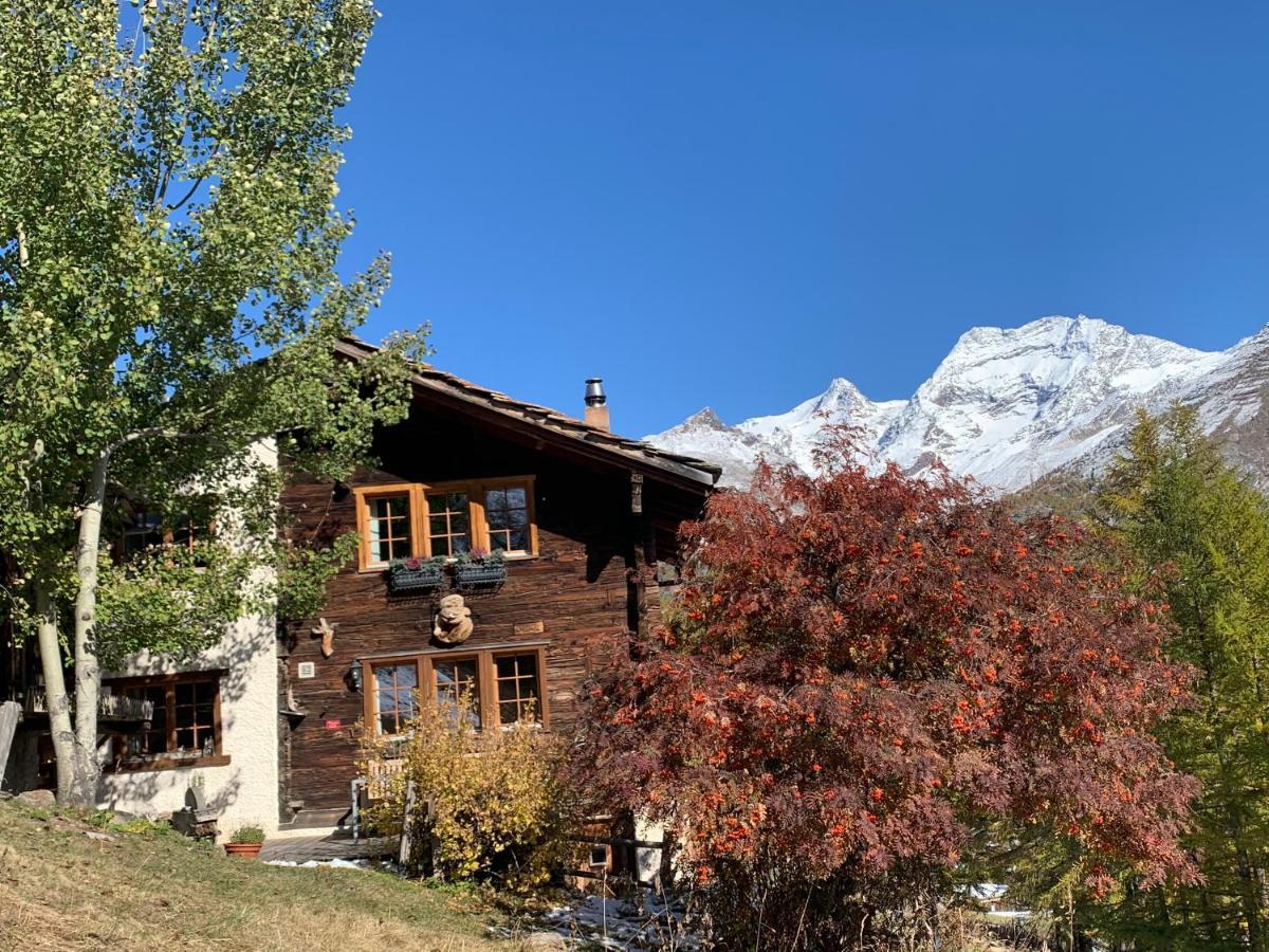 Chalet Birkhahn 萨斯费 外观 照片