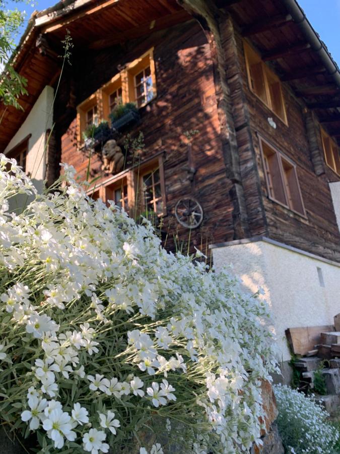 Chalet Birkhahn 萨斯费 外观 照片