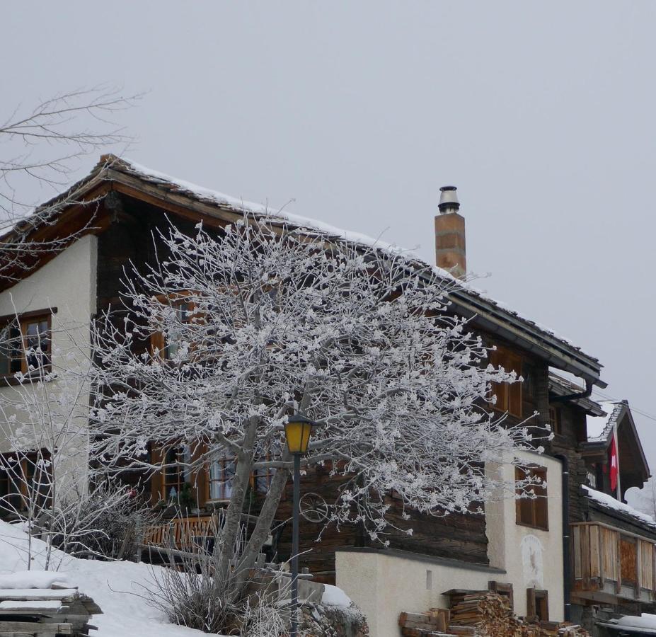 Chalet Birkhahn 萨斯费 外观 照片