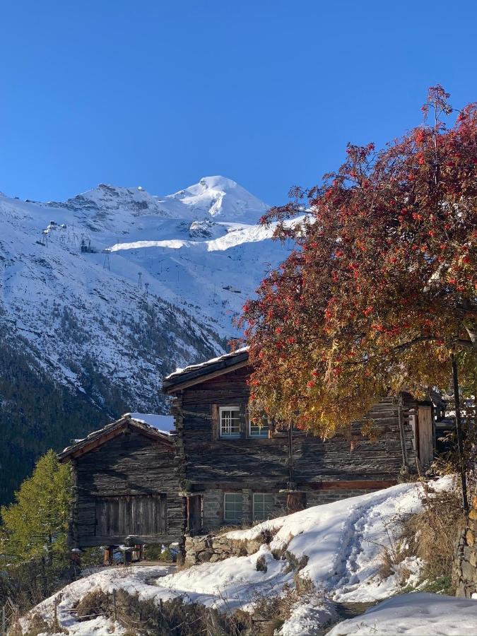 Chalet Birkhahn 萨斯费 外观 照片